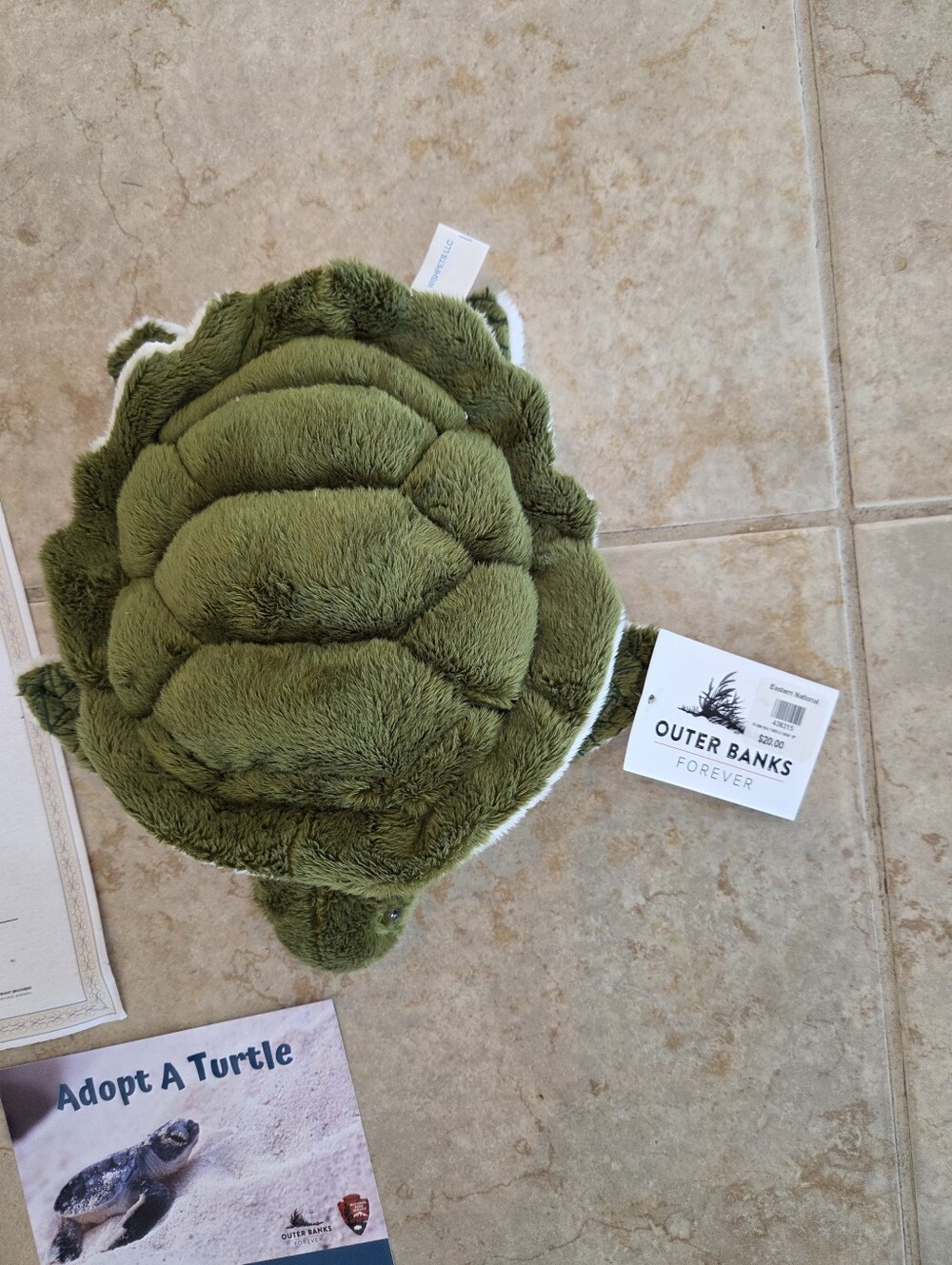 Turtle Realistic Tracking Lot - Picture 2 of 6